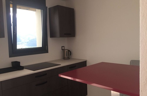 Bas-Intyamon Apartment | Independent studio with terrace and magnificent view on the mountains