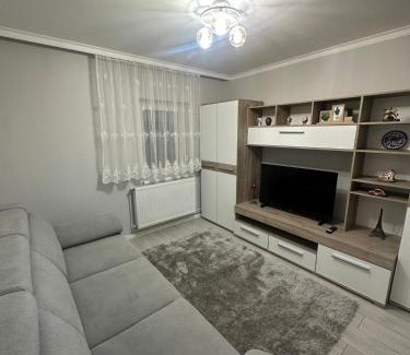 Satu Mare Apartment | Infinity Apartman