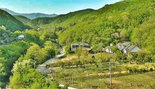 Inje House | Inje Gombaeryeong Evergreen Pension