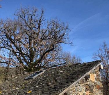 Arnac-sur-Dourdou Other | Insolite bergerie dans la forêt