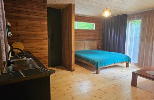 Ambrolauri House | InSxvava