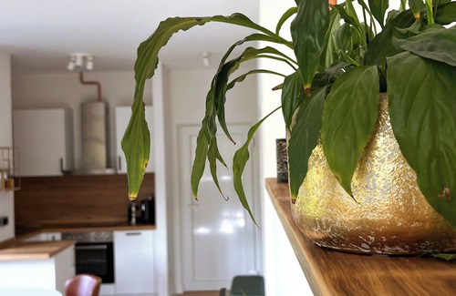 Rauhenbretzingen Apartment | Inviting apartment with balcony in the middle of greenery 8min. from Schwäb.Hall