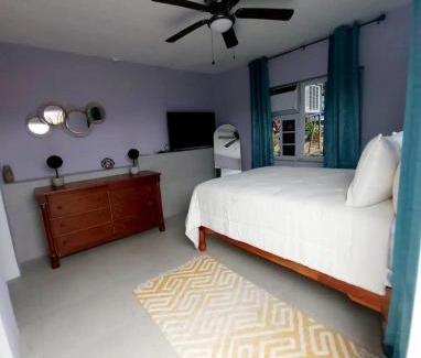 Salt Gut Apartment | Irie Royal