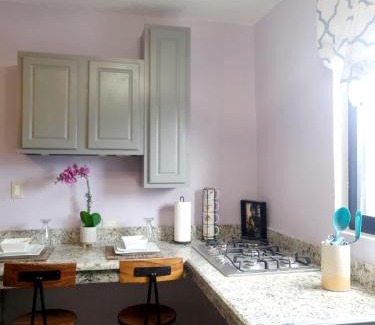 Salt Gut Apartment | Irie Royal