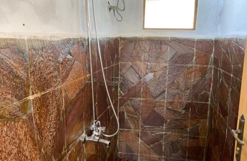 Ishasha Other | Ishasha Pride Lodge