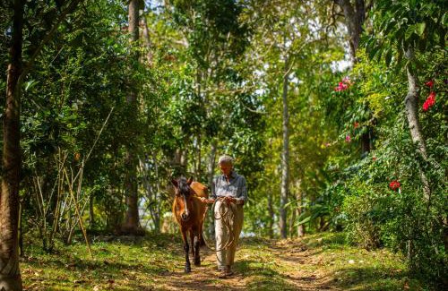 Dindigul Resort | Isla's Ridge - A CGH Earth SAHA Experience