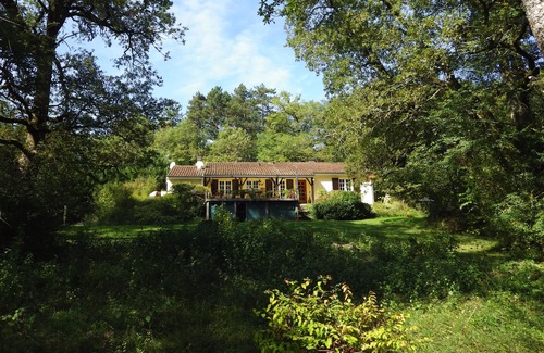 Baladou House | Isolated tranquil woodland setting.