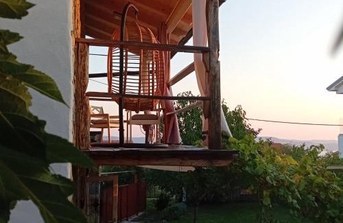 Hrvatini Apartment | Istrian stone house ŽIŽOLA