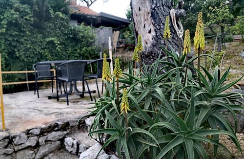 Artatore Apartment | Ivka 2