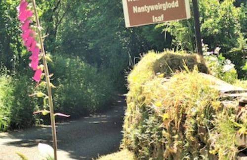 Llanfyrnach Cottage | Ivy Cottage