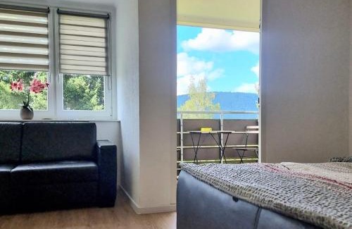 Baiersbronn Apartment | J&L Flat with Pool in Baiersbronn