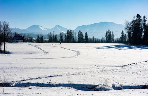 Witow Ski Chalet | Jagodowa Osada - domki z balią z hydromasażem blisko term