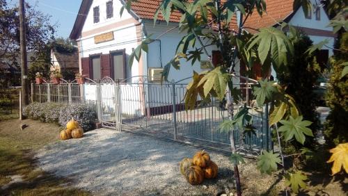 Csesztreg House | Jakuzzis,Szaunás,Kerkavendégház-Őrség-Csesztreg-Kerkaujfalu