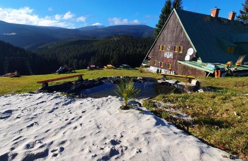 Mala Upa Bed & Breakfast | Jamaican by Snezka