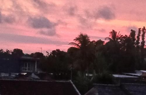 Banyuwangi House | Javalindra Homestay Tour and Travel