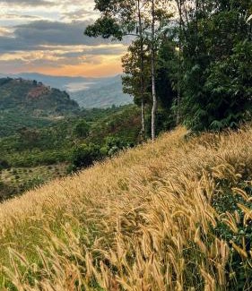 Bao Loc Bed & Breakfast | JE T'AIME VILLA - Khu nghỉ dưỡng nhà vườn nằm giữa thiên nhiên bao la hoa cỏ