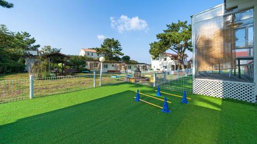 Downtown Resort | Jeju dangdangipark resort