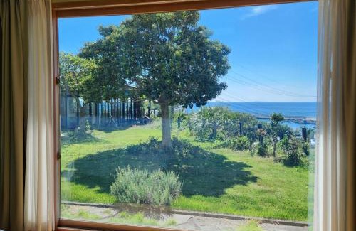 Jungmun House | JEJU Doldam B&B