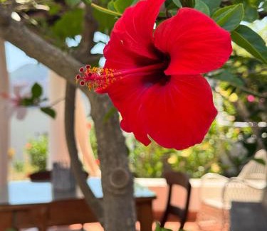 Vulcanello House | JERA Holiday Collection VULCANO TRE - Sea View