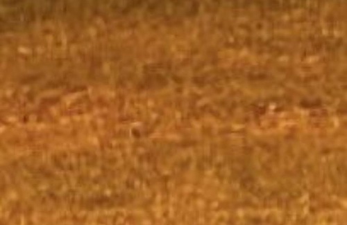 Jardim Nova Suica House | JORDAN FIELDS, WELL LOCATED AND PANORAMIC VIEW GETS 16 PEOPLE/2 EXTRA