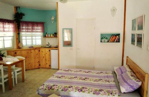 Menahemia Apartment | Jordan Valley one room apartment