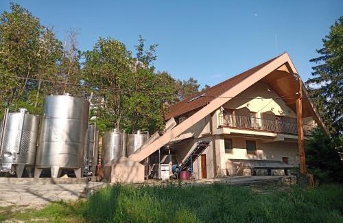 Kotcse House | Josephus Vendégház