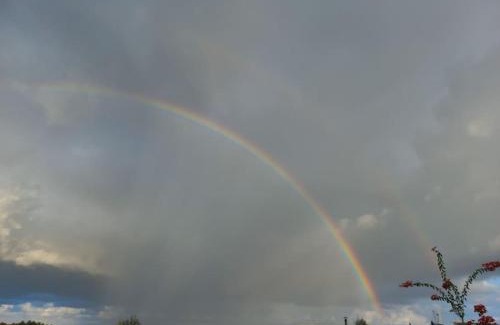 Idmit Apartment | Julius Suite ג'וליוס סוויטה