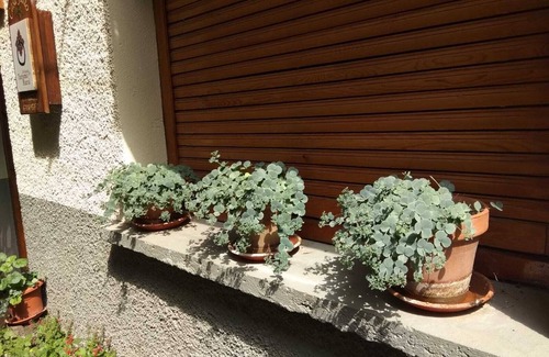 Torla Cottage | July house for 6 people