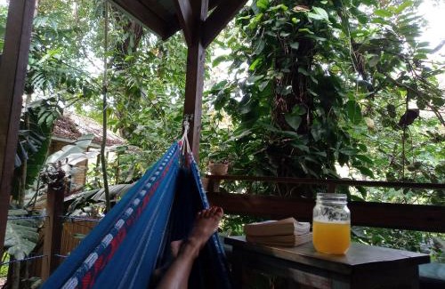 Bocas del Toro Cabin | Jungle Paunch
