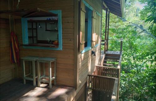 Bocas del Toro Cabin | Jungle Paunch