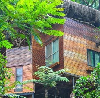 Medadumbara Bed & Breakfast | Jungle Tree House Rangala