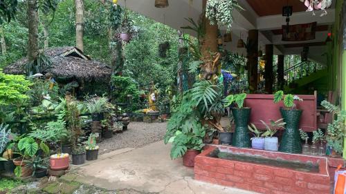 Thekkady House | Jungleview Home Stay