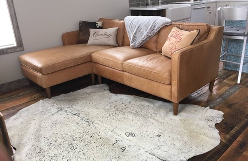 Crested Butte Cabin | Just Horsin' Around!