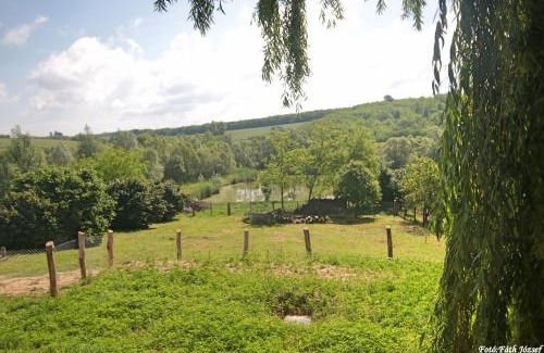 Szentlaszlo Apartment | Két Kapu Udvarház