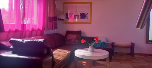 Bekescsaba Apartment | Két Puli Vendégház