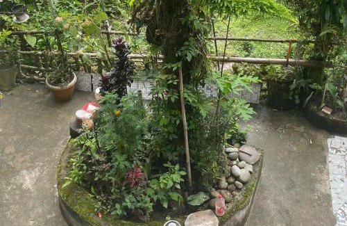 Gangtok House | Kachopa Homestay