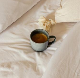 Zona Paseo Montejo Hotel | Kahal Hotel - Paseo Montejo