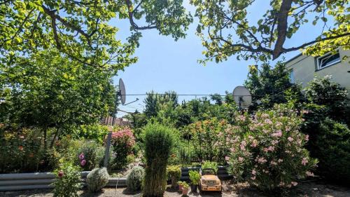 Mirzaani Apartment | Kakheti Apartment