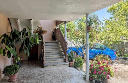 Mirzaani Apartment | Kakheti Apartment