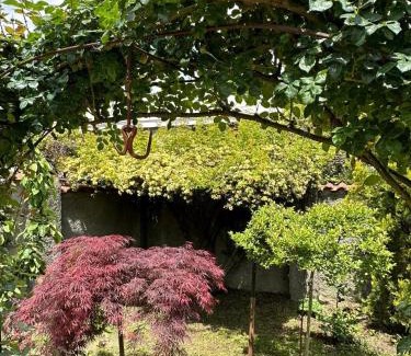 Telavi Apartment | Kakheti Telavi