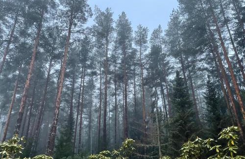 Haabersti House | Kakumäe Raba Villa - puhkemaja basseiniga Tallinnas