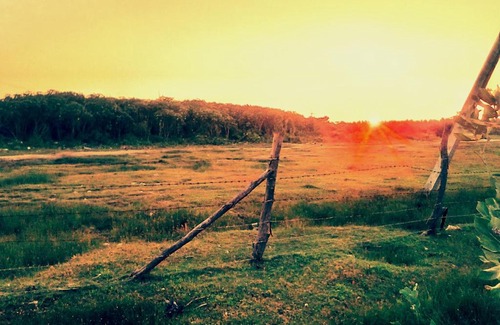 Kalpitiya House | Kalpitiya Guest House