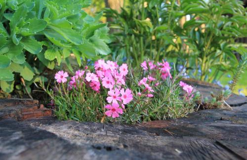 Bystrzyca Kłodzka House | Kamienny Zakątek w Górach Bystrzyckich