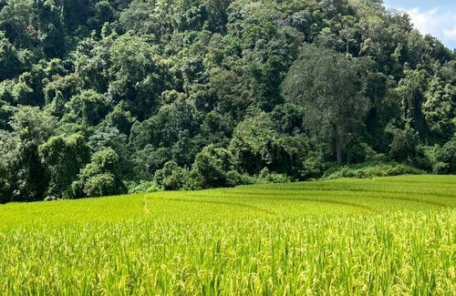 Wat Chan Hotel | Karen Hill Tribe Lodge