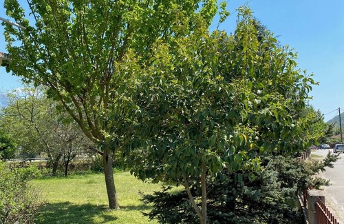 Souli House | KARMA House by the River 2br