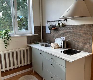 Ziepniekkalns Apartment | Kart apart 3