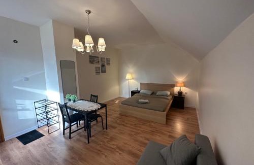 Ziepniekkalns Apartment | Kart apart 3