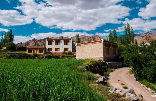 Leh Hotel | kartok resort leh ladakh