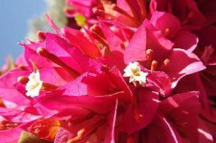 Ouirgane Bed & Breakfast | Kasbah Africa - High Atlas Dark Sky & Nature Lodge