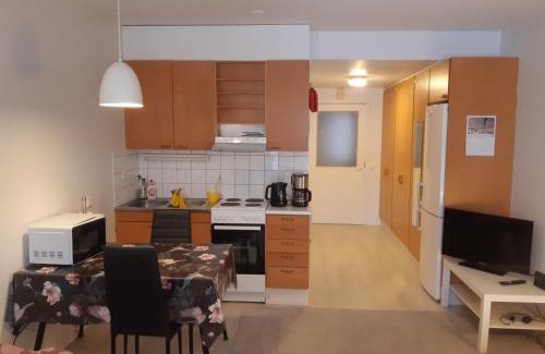 Soini Apartment | Kauppala, Soini kk